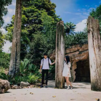 喜你如疾 暗恋一个人是很孤独的