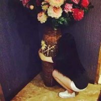 你是我睡觉都会梦见的人。 无论我变的如何强大，