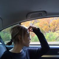 温柔驯兽师 如果你非要触摸我的底