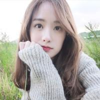 无人与我立黄昏 无人问我粥可温 你还是我一碰就痛的软