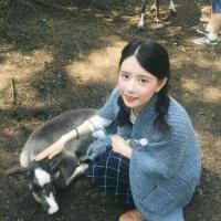 猫 无数次的问自己，如果