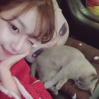 逍遥哥哥 我是天上的飞鸟 错误