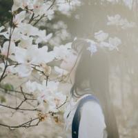 北甍 如果我死了该多好，因