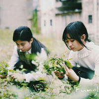 硬脾气 恨夜难成眠，洒下一地