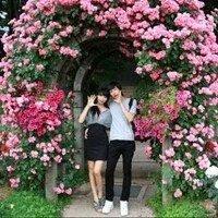 匿名情话 我要的爱，无非就是希
