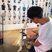 胡桃阿宝 我没什么特长就是爱你