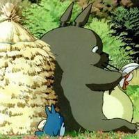 卡哇伊龙猫，新手包涵~ 不用说太多安慰话喝完