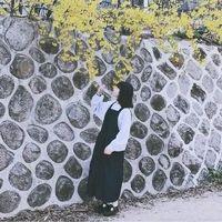 繁花落尽，终究是伤 你走，就别在回头。