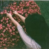 繁花落尽，终究是伤 你走，就别在回头。