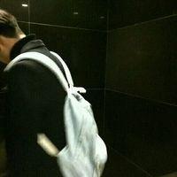 阁楼里的猫 你若想要得到，就别只