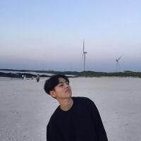 无主情话 我很喜欢你 可是好像