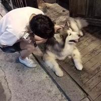 你是酒馆却早早打烊