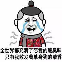 无人与我把酒分无人告