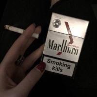 你好未来 当两个人之间的独木桥