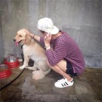 何思佳 何思佳 前任就那么重要么？为
