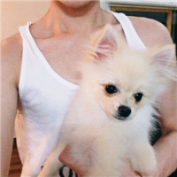 过场 【09】给自己削苹果