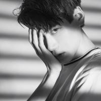 没你的世界， 我赔上一生情动也换不