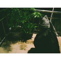 故事以朽 最后一个夏天，我们就