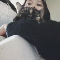 浪够了就回来 我想我还是没有忘掉他