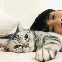 无言 “他知道你舍不得离开