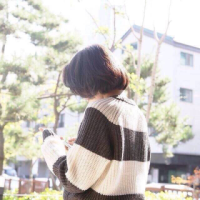 茶花街 19号 风停了剩尘埃飘落 梦
