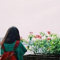 唯美花系列 昏昏沉沉 郁郁闷闷
