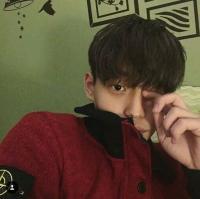 听海 看惯玫瑰的人又怎会喜