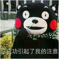哈哈哈哈哈.乱 怎么到了最后你一人先