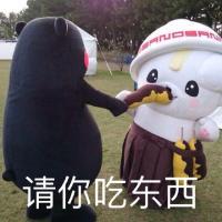 叶无言， 既然真的动情了，伤也