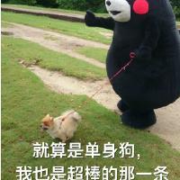 叶无言， 既然真的动情了，伤也