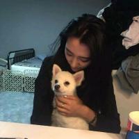 李倾城： 要有多坚强，才能妥协