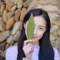 少女谋杀案 花言巧语说不尽的爱