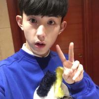 作死专家 但是快乐太单纯所以太