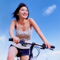 硬脾气 海鸟和鱼相爱，只是一