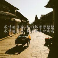 你想要的文字都在这 我还是那么没出息 处