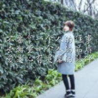 你想要的文字都在这 我还是那么没出息 处