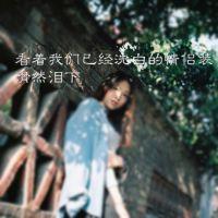 你想要的文字都在这 我还是那么没出息 处