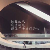 你想要的文字都在这 我还是那么没出息 处