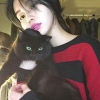 超级cool. 如果你心里还有我，请