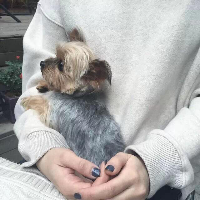 回忆里的人是不能见的
