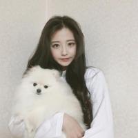 杂图 后来 我们都很倔强