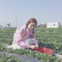 草莓味少女 留下了那段空白记忆，