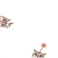 “我可不可以借着毕业