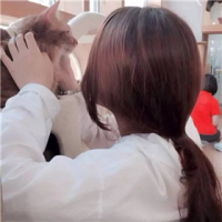 教养 你又没犯什么错你别招