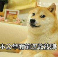 记忆，深入骨髓，伴随