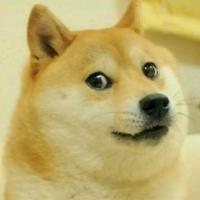 记忆，深入骨髓，伴随