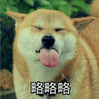 记忆，深入骨髓，伴随