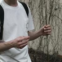 男头谢谢 异地恋真的不是一直火