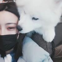 不打扰，是我的温柔 她们的圈子我融不进去
