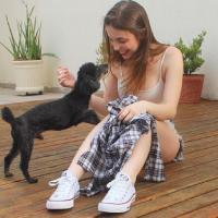 像被丢弃的猫. 曾经傲视天下号令雄师